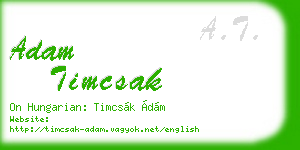 adam timcsak business card